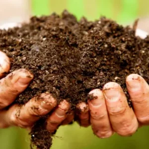 Cow Based Composting