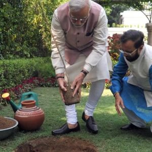narendra-modi-planted-kadam-tree-7rcr