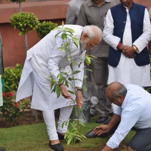 plantation-campaign-in-parliament_507639aa-a6db-11ea-ad77-c76040589f9e
